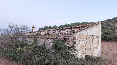 Foto 5 de Finca rústica en venta en El Pantanet I Les Moles, Ulldecona, Tarragona