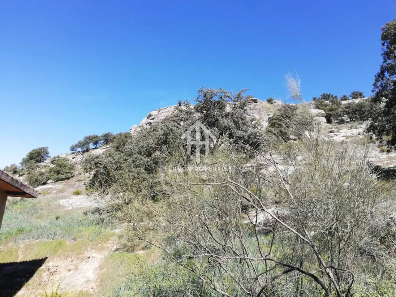 Finca rústica en venta en Zagra