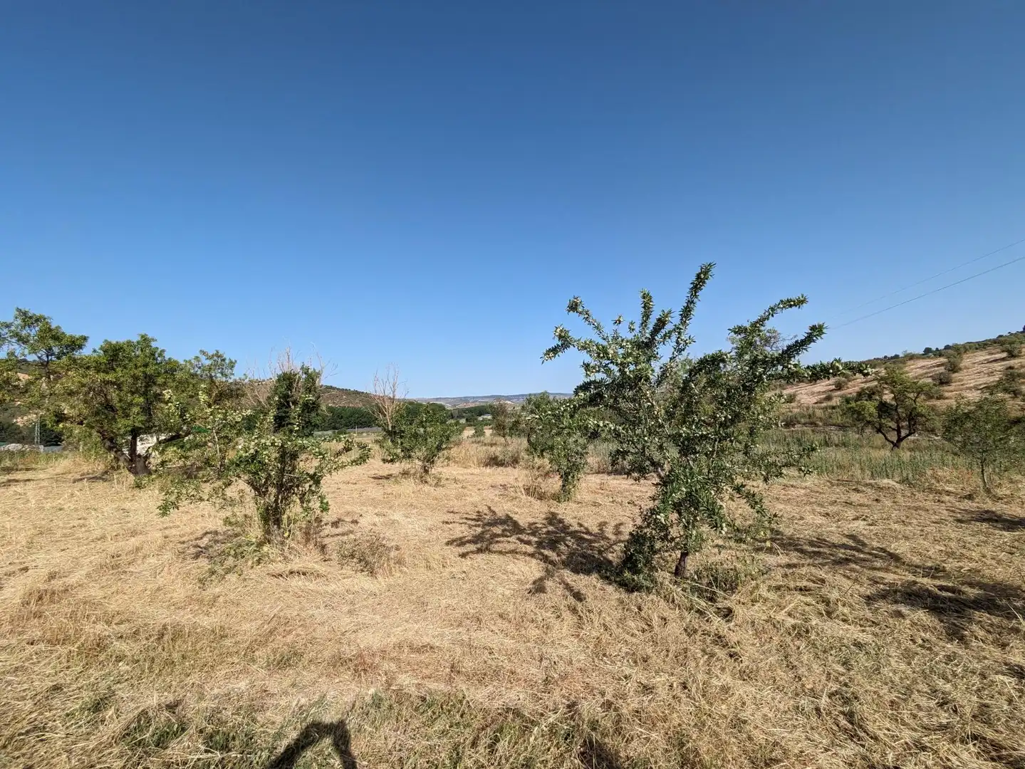 Residential land for sale in EXTRARRADIO, imagen 6
