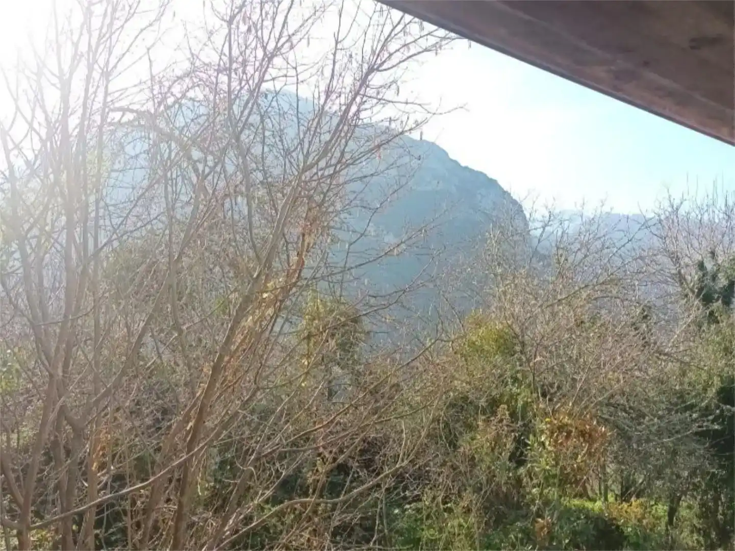 Vista exterior de Pis en venda en Ponga amb Jardí privat i Balcó