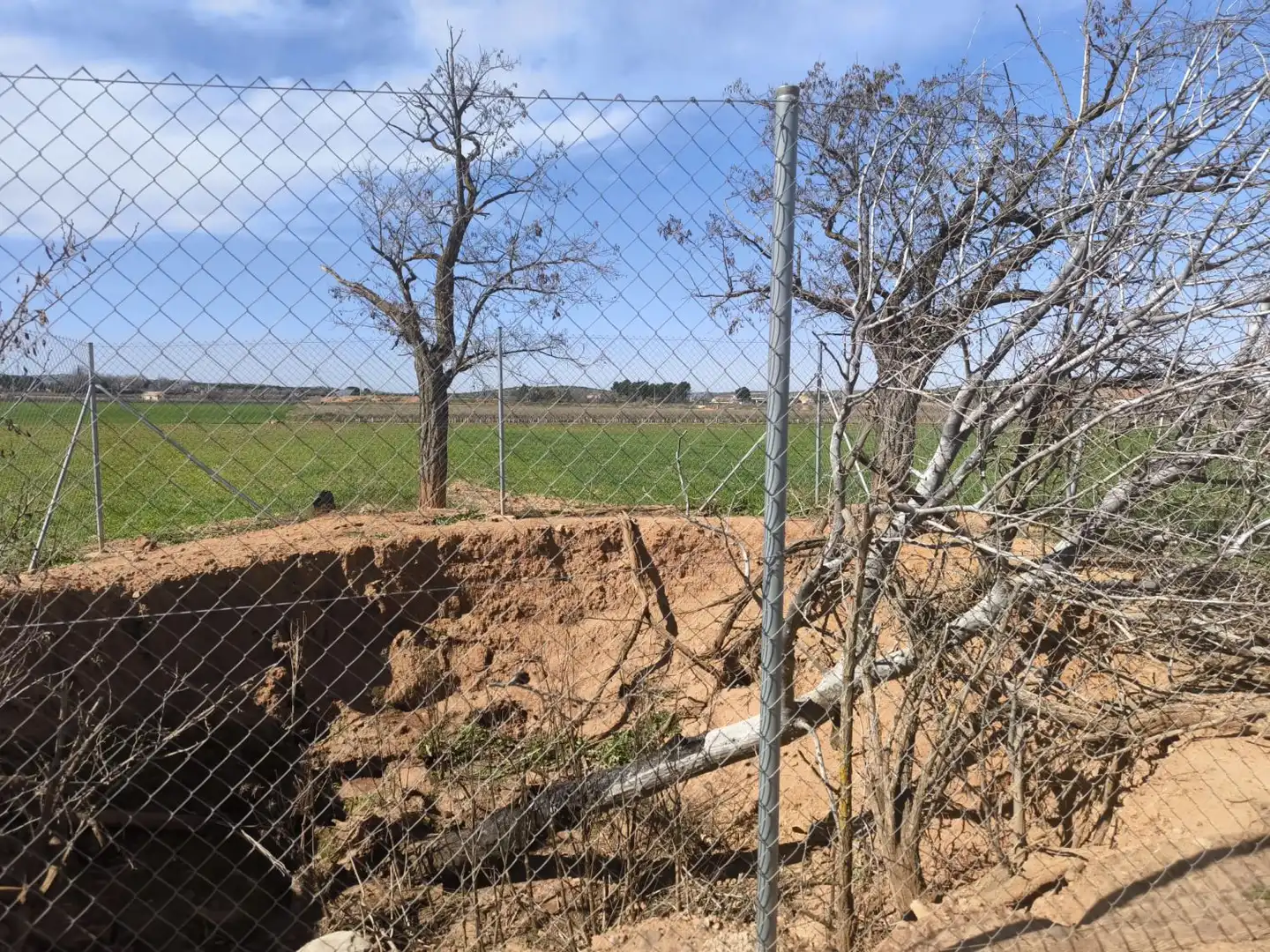 Casa rústica en venda a Valdepeñas, imagen 7