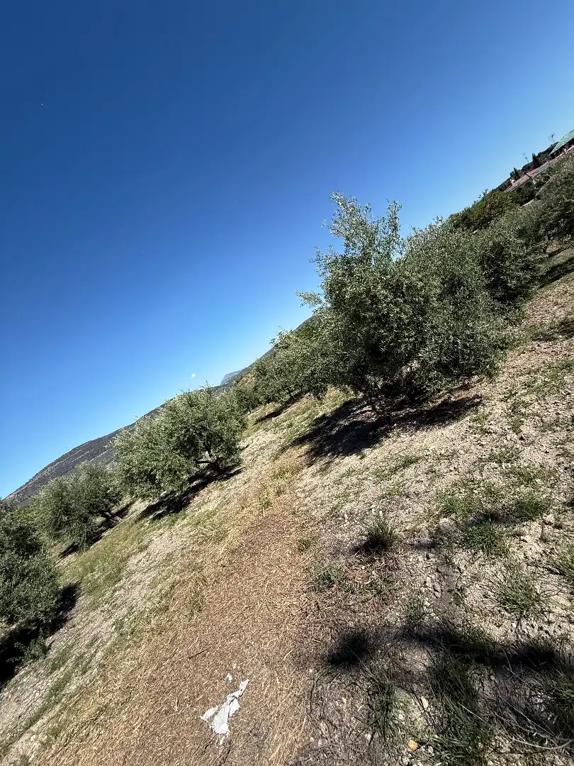 Xalet amb terrassa en venda a Calle Rincón, imagen 29