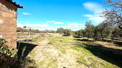 Foto 4 de Finca rústica en venda a Camí de Sant Jeroni, 5, Móra d'Ebre, Tarragona