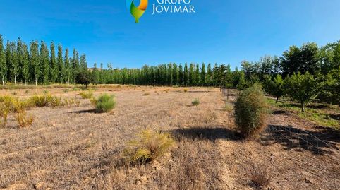 Photo 3 of Land for sale in Cortes y Graena, Granada