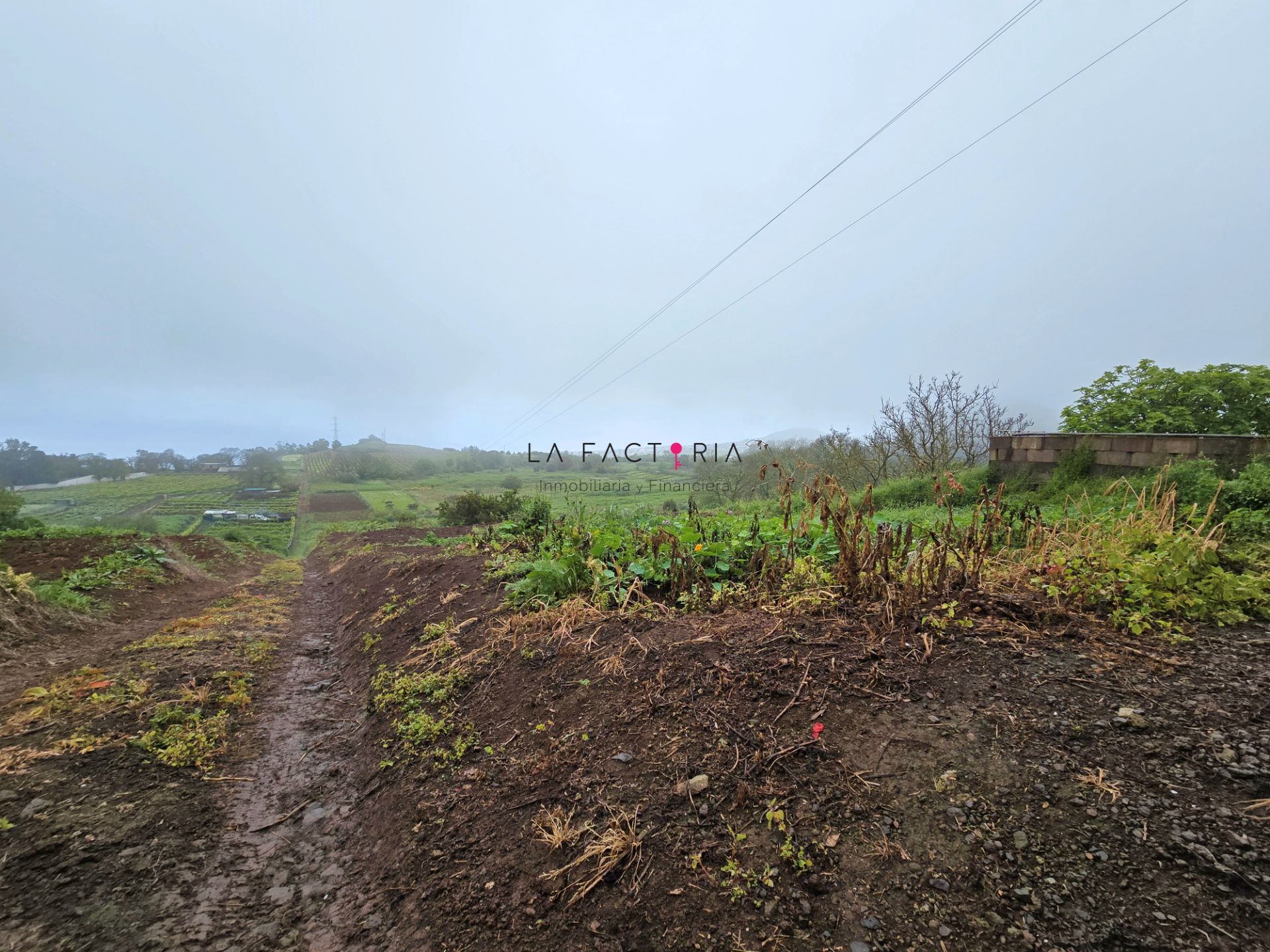 Terreno en venta en El Sauzal