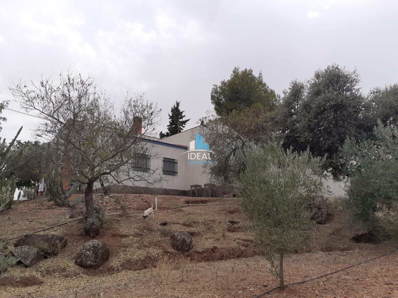 Casa o xalet en venda en Guareña amb Aire condicionat, Traster i Piscina