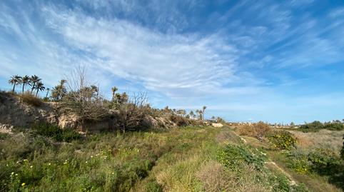 Photo 4 of Industrial land for sale in Algoros, Algorós - El Derramador, Alicante