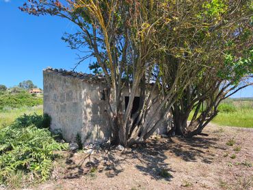 Rural land for sale in Maria de la Salut