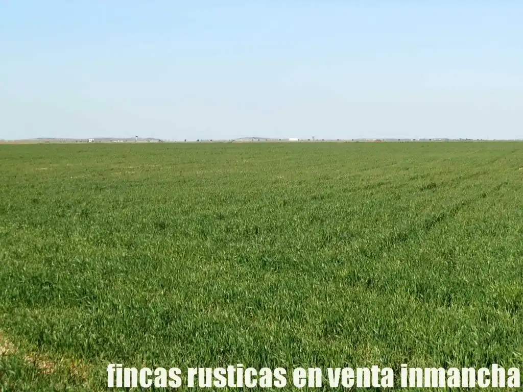 Terreni e lotti in vendita a Madridejos, imagen 7
