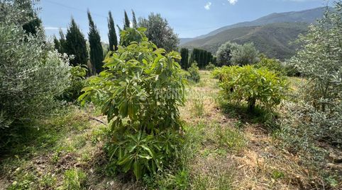 Foto 3 von Grundstücke zum Verkauf in Diseminado Diseminados, Órgiva, Granada