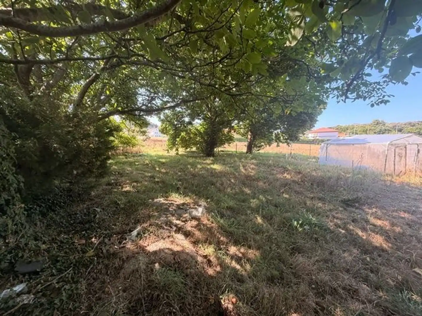 Rural land for sale in Lugar Torre, imagen 10