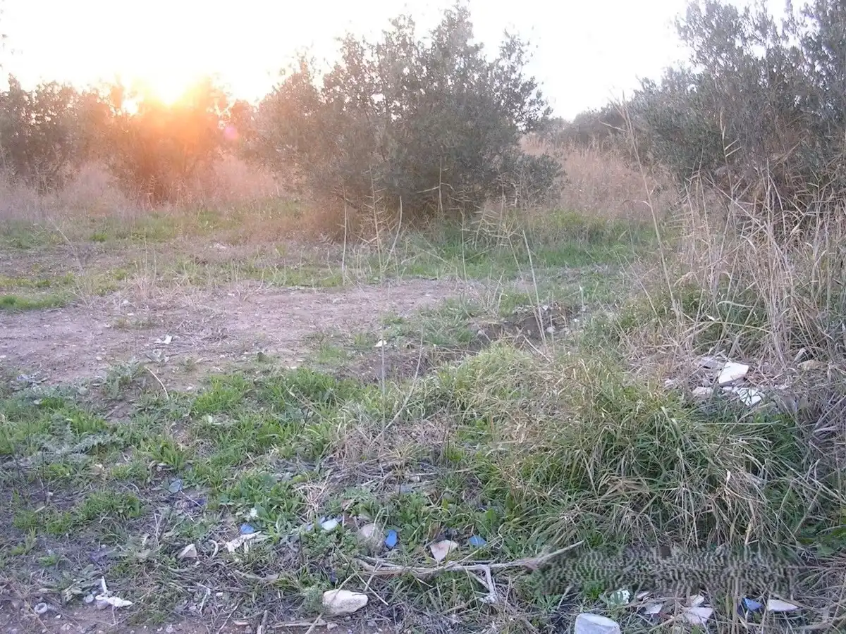 Terreni e lotti in vendita a Alhama de Murcia ciudad, imagen 3