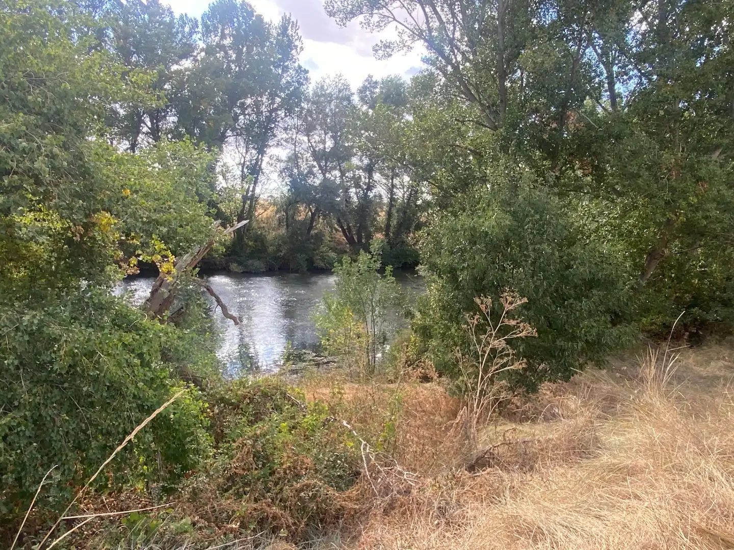 Vista exterior de Finca rústica en venda en Valoria la Buena amb Jardí privat i Piscina