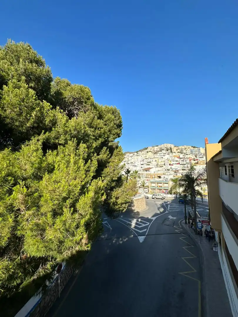 Piso de alquiler en Avenida Prieto Moreno, 11, La Herradura centro