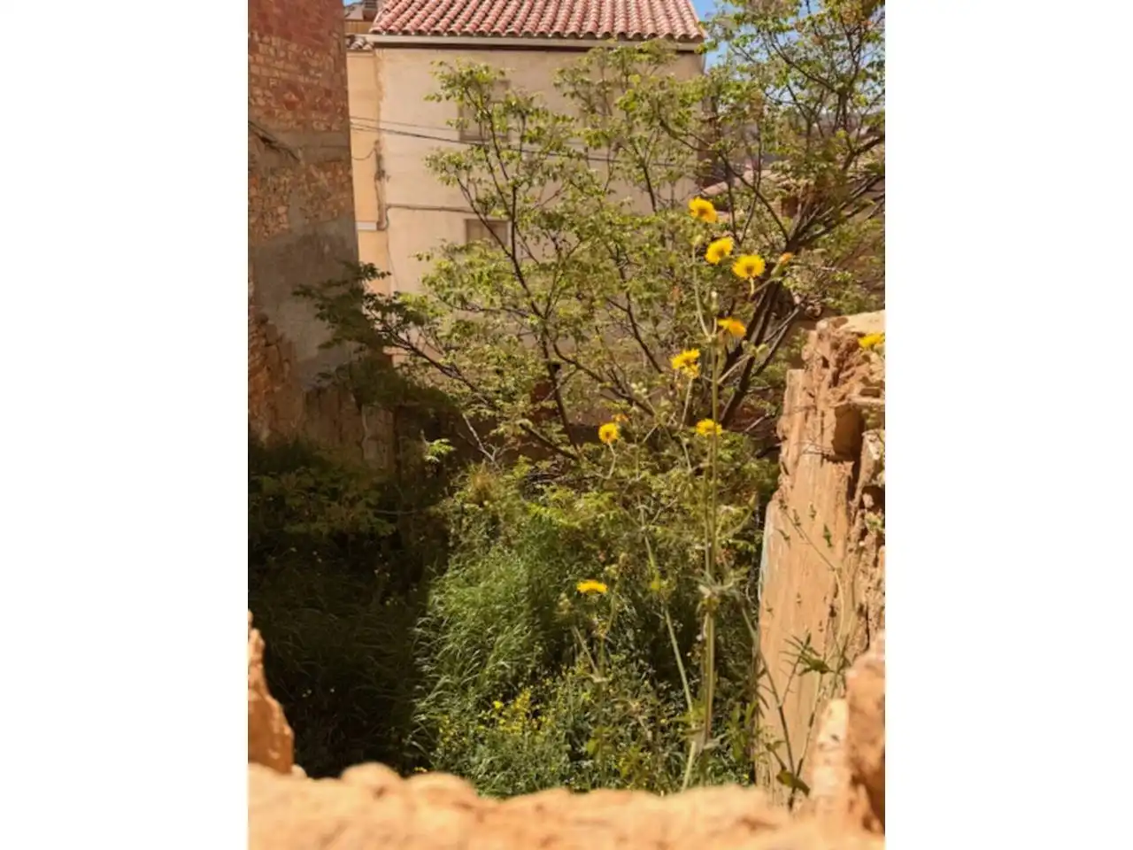 Jardí de Residencial en venda en Alcarràs