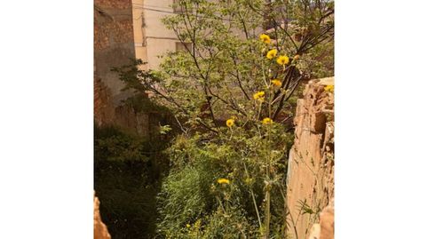 Foto 4 de Residencial en venda a Calle França, 29, Alcarràs, Lleida