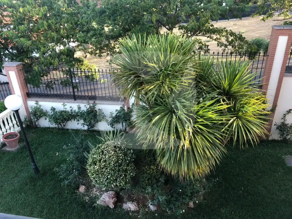 Jardí de Casa o xalet en venda en Badajoz amb Aire condicionat, Calefacció i Jardí privat