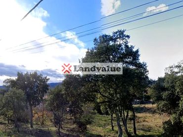 Terrenys i solars en venda a Carrer de la Selva 11