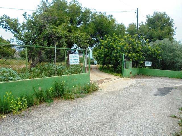 Terreno en Venta en Partida Bovalar, 2 en Estadio Castalia