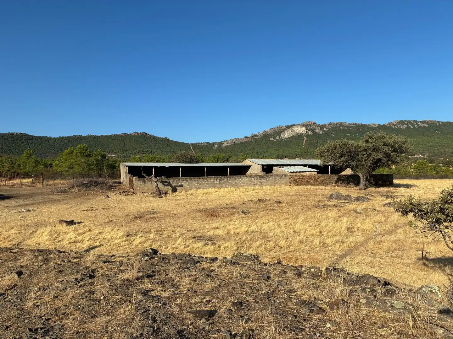 Rural land for sale in Puerto de San Vicente, imagen 15