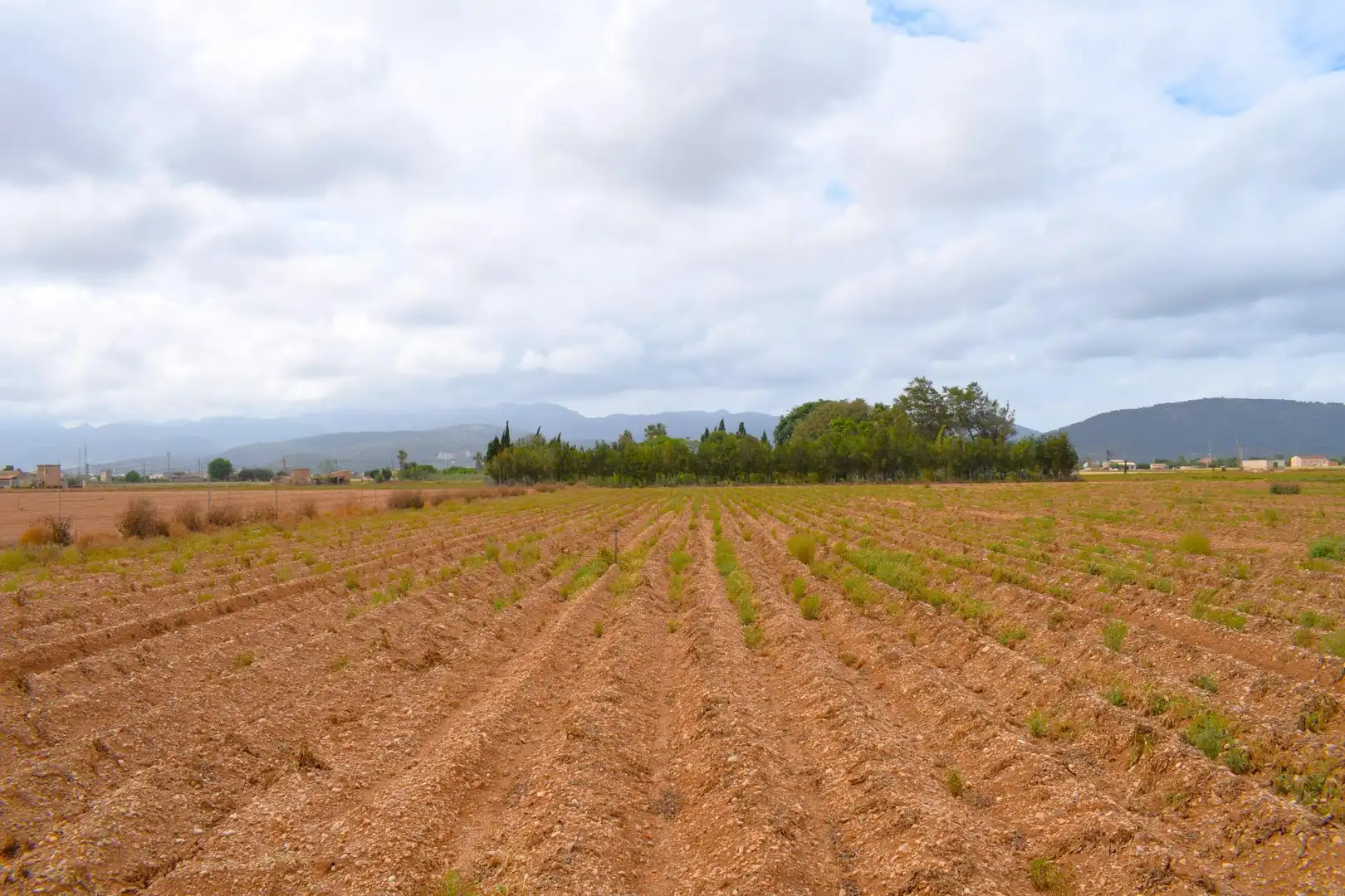 Finca rústica en venta en Sa Pobla con Jardín privado