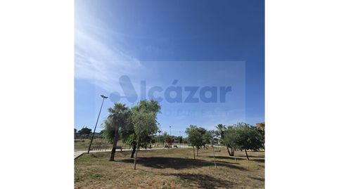 Foto 4 de Pis en venda a Calle Maestro Rafael Leña, Nueva Alcalá, Alcalá de Guadaira
