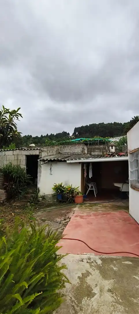 Finca rústica en venta en Camino REVENTON EL, La Vega - El Amparo - Cueva del Viento