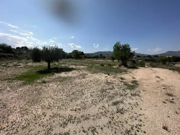Rustikales Grundstück zum Verkauf in Monóvar  / Monòver, imagen 11