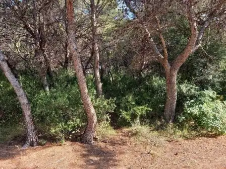 Terrain rustique à vendre à PT Sector R-6A UE2, imagen 9