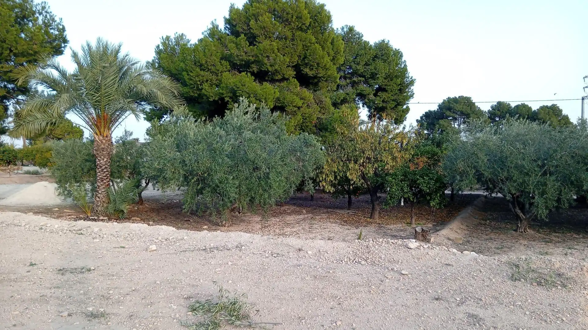 Villa à vendre à Jubalcoi, imagen 28
