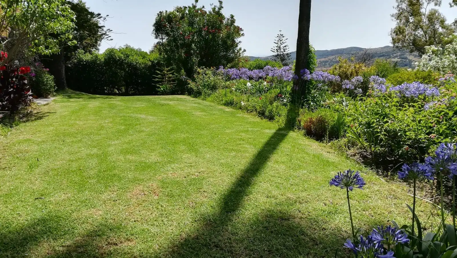 Jardí de Casa o xalet en venda en Algeciras