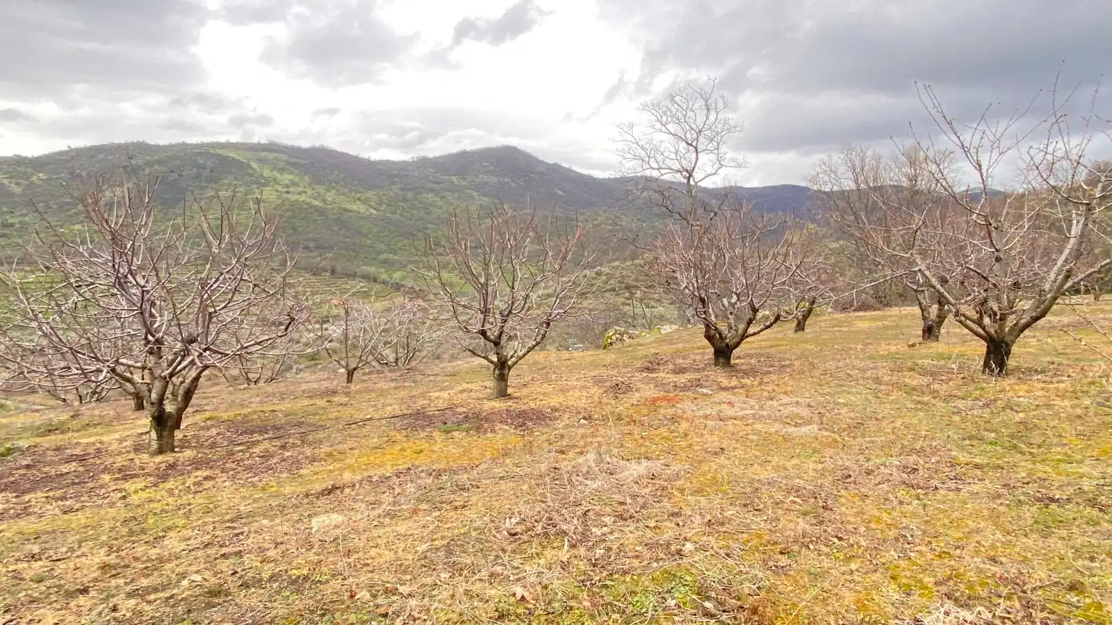 Terreni e lotti in vendita a Hervás, imagen 18