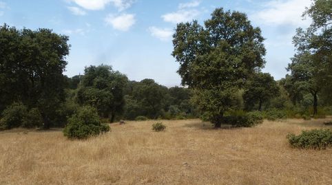 Photo 4 of Land for sale in Trujillo, Cáceres