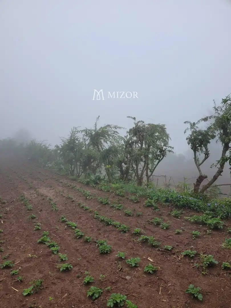 Rural land for sale in el rodeo, imagen 30