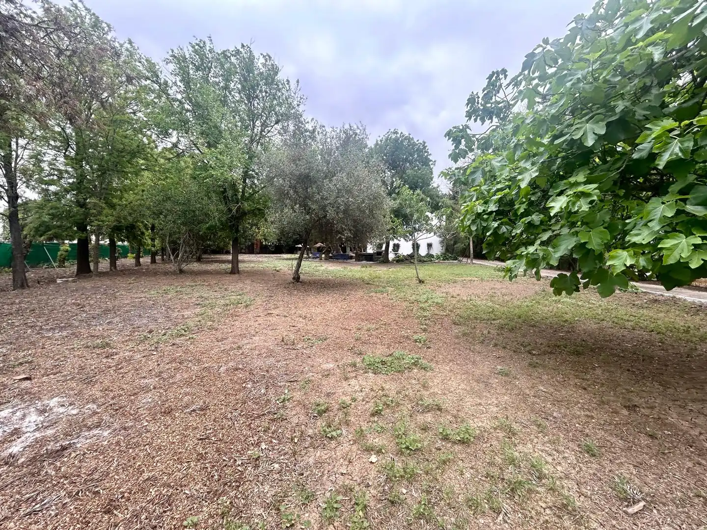 Country homes for sale in Caballero Bonald - San José Obrero - Guadalcacín