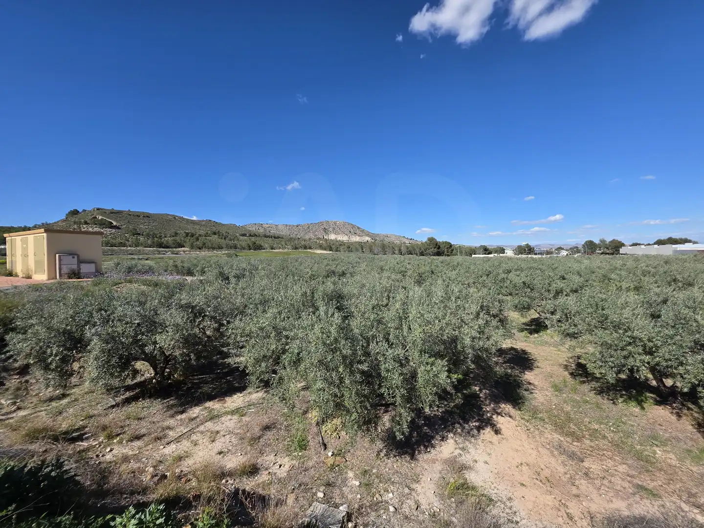 Terrenys i solars en venda a Calasparra, imagen 2