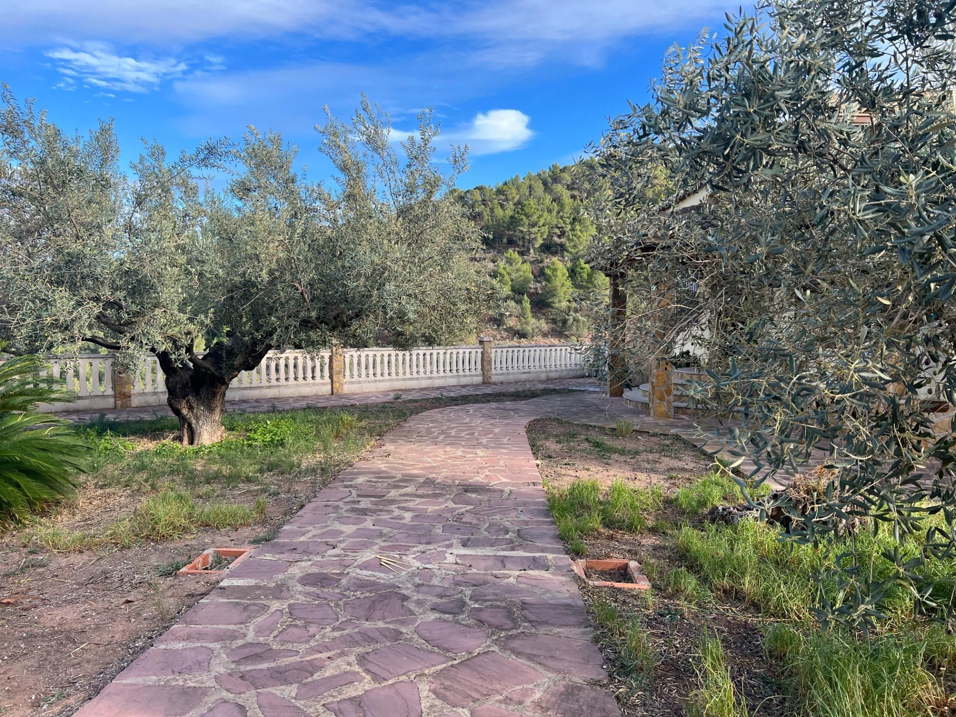 Jardín de Casa o chalet en venta en Segart con Aire acondicionado, Calefacción y Jardín privado