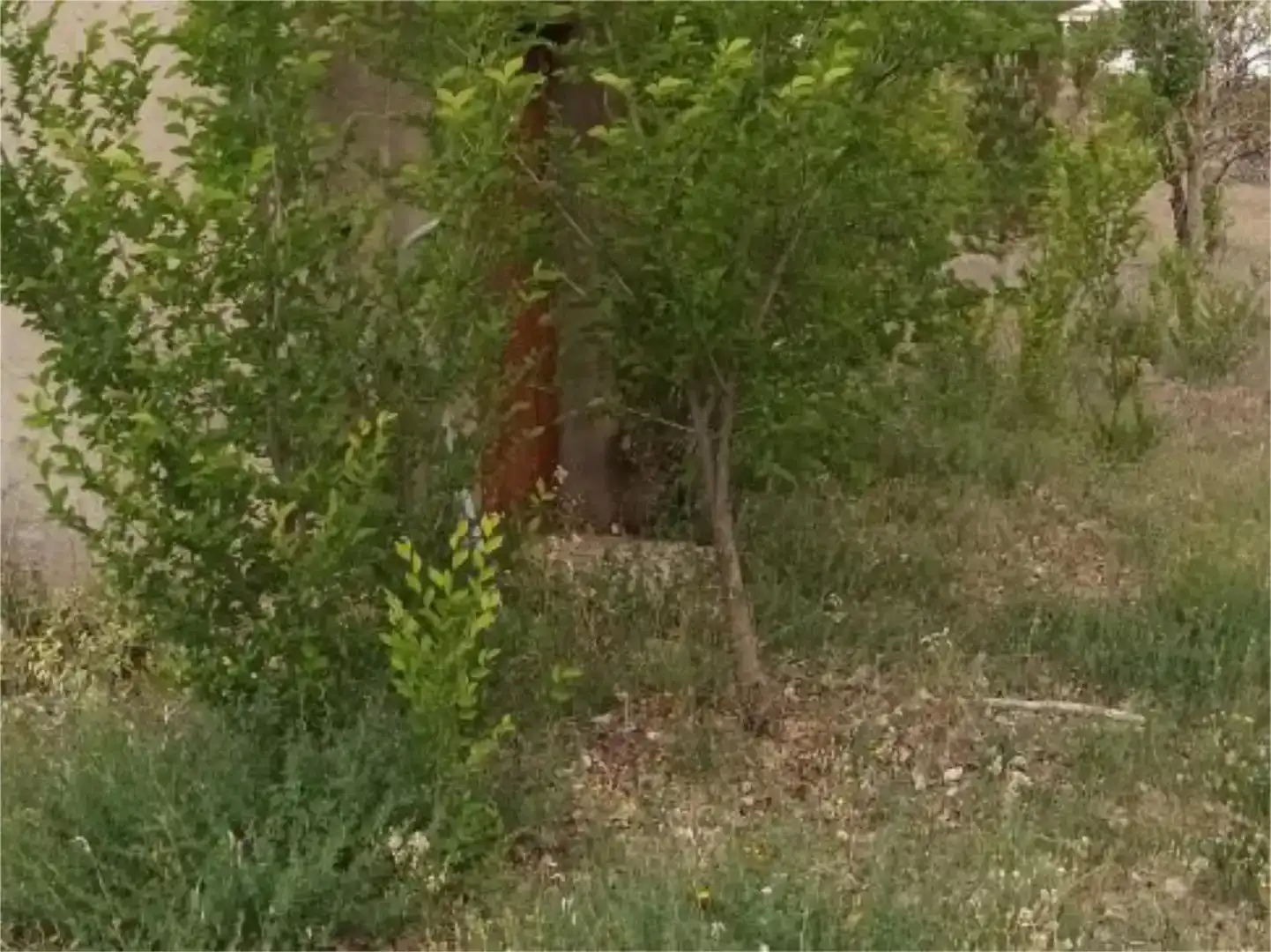 Residencial en venda a Camino del Fresno, 26, Villar de Cañas