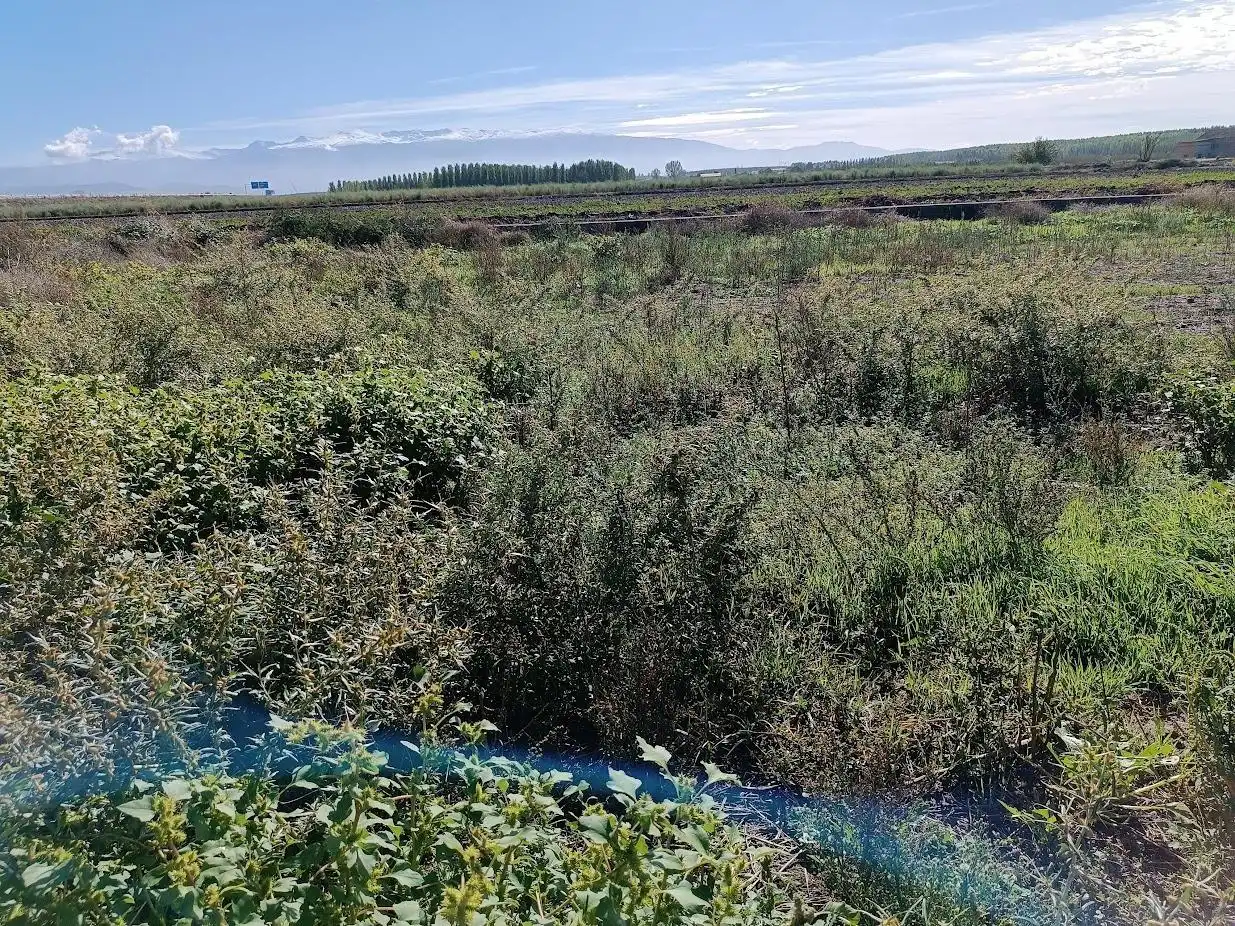 Rustikales Grundstück zum Verkauf in Calle Betbenal de pinos puente, imagen 19
