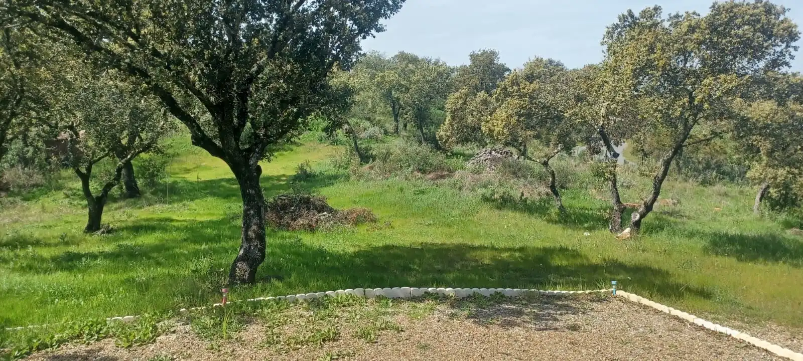 Haus mit Pool zum Verkauf in Castilblanco de los Arroyos, imagen 32