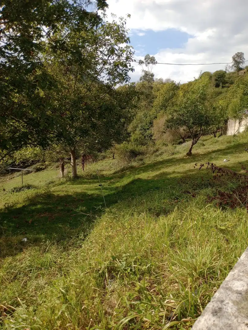 Terrenos y solares en venta en Piloña, imagen 4