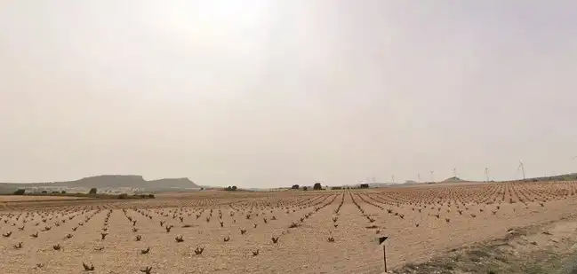 Finca rústica en venda en Jumilla amb Calefacció, Jardí privat i Terrassa