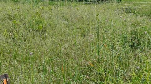 Photo 5 of Land for sale in Cortes - Huertas,  Madrid Capital