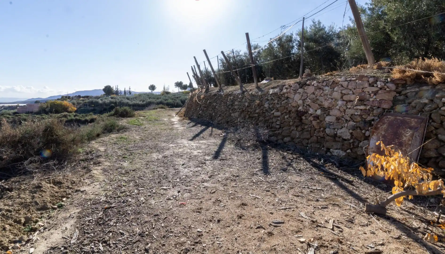 Terreno rustico in vendita a Alhama de Almería, imagen 4