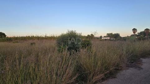 Photo 2 of Land for sale in L'Almadrava - L'Estanyó, Alicante