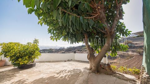 Foto 4 von Country house zum Verkauf in Breñas, 62, Valle de los Nueve - El Ejido - Medianías, Telde