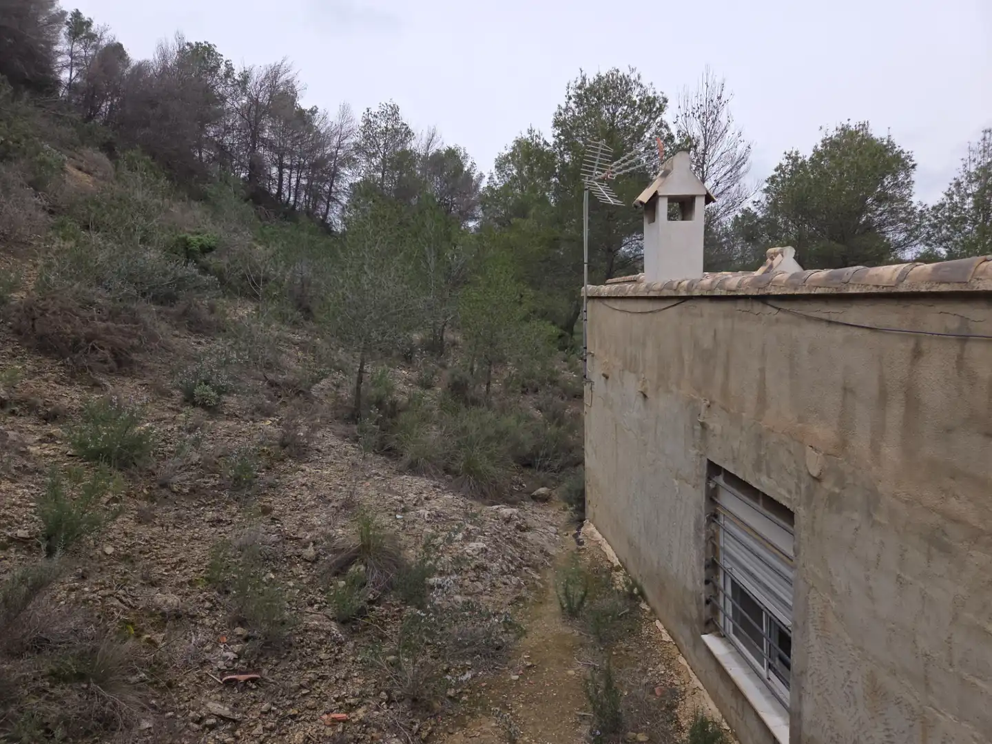 Maison rustique avec piscine à vendre à Avenida Luis de los Reyes, imagen 16