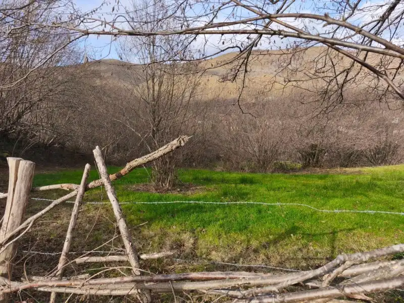 Terreni e lotti in vendita a Rionansa, imagen 2