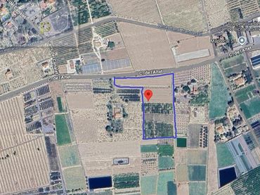 Rural land to rent in Alzabares