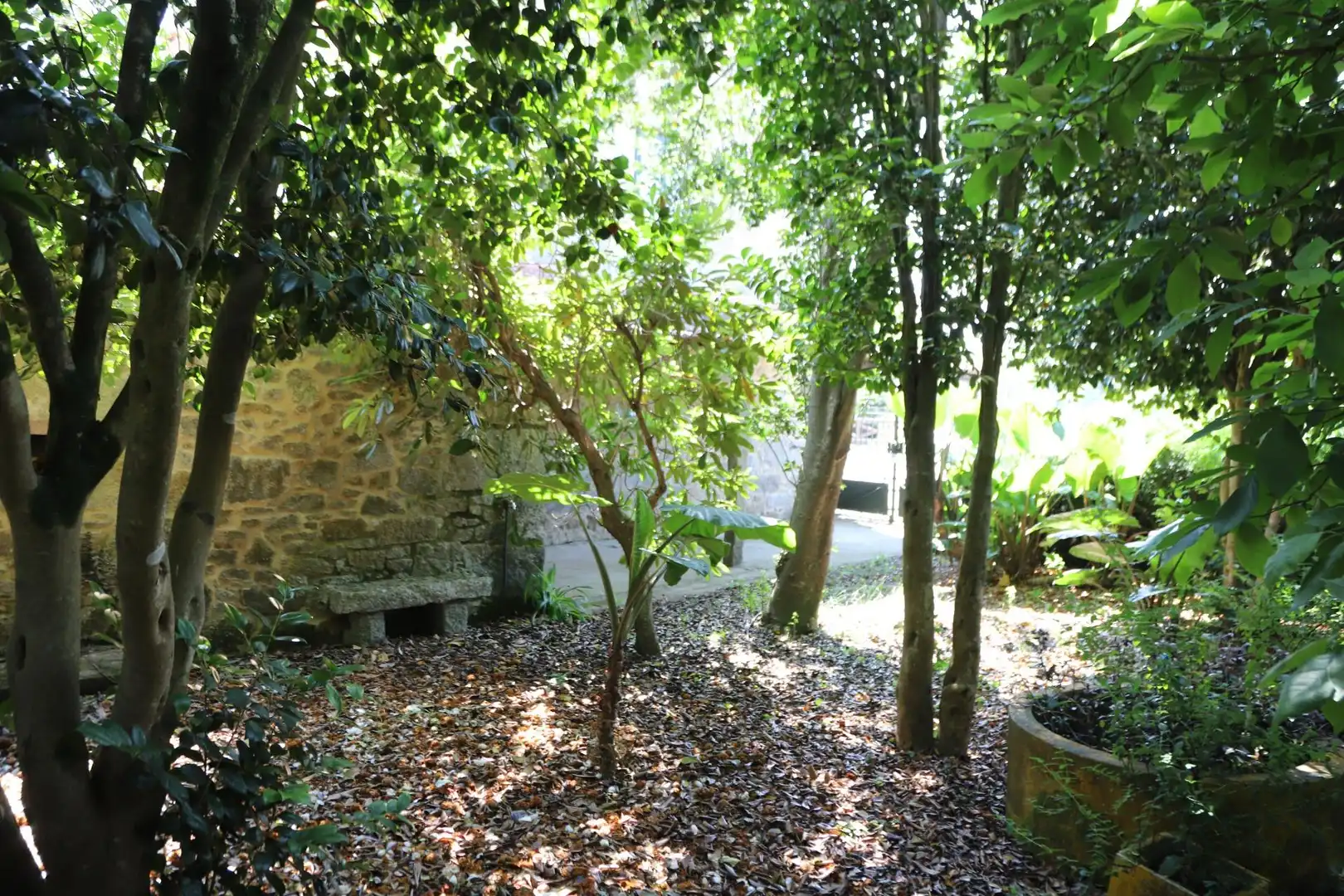 Jardín de Casa o chalet en venta en Portas con Jardín privado, Terraza y Trastero